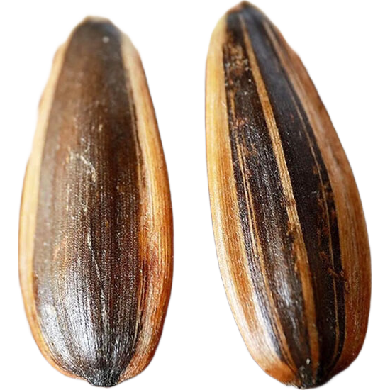 ������ѡ ԭζ���� 400g ��Ƥ������� 3.99Ԫ(����ȯ)