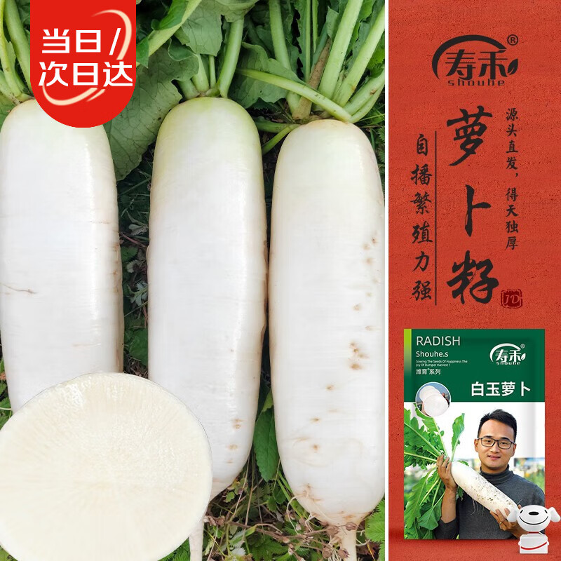 寿禾 白萝卜种子种苗冬春种植南北方蔬菜种籽 潍育白玉萝卜种子10g