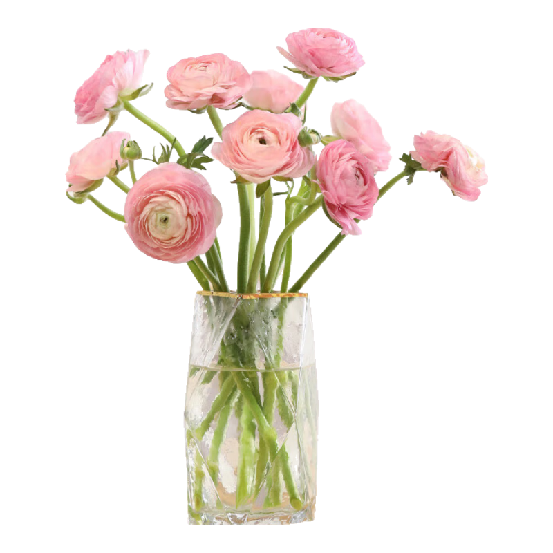 �����ʻ�10֧��ĵ�����ɫ���л��ʻ�ʥ����Ԫ����������������Դͷֱ��