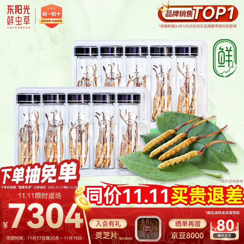 东阳光鲜虫草0.4-0.6g/根100根新鲜冬虫夏草补品送长辈老人源头直发包邮