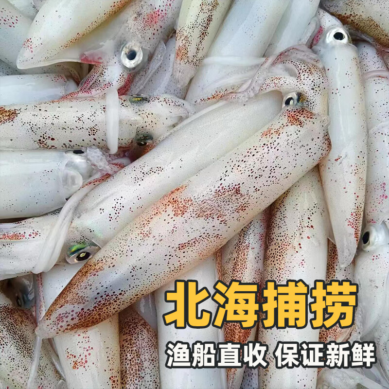 桂之海 桂(GUIZHIHAI)活冻北海鱿鱼新鲜冷冻海鲜白灼芥末烧烤火锅鲜活冰鲜大尤鱼 400g/3盒【16-20条/包,活冻鱿】共2.4斤