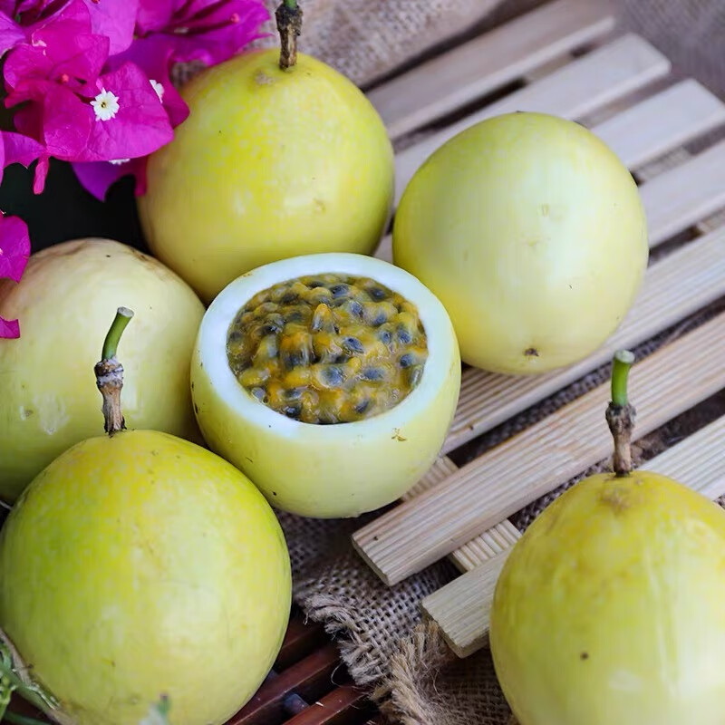 果益寿广西钦蜜9号黄金百香果 新鲜水果白香果酱原浆整箱 超值30个活动果【单果平均30g+】