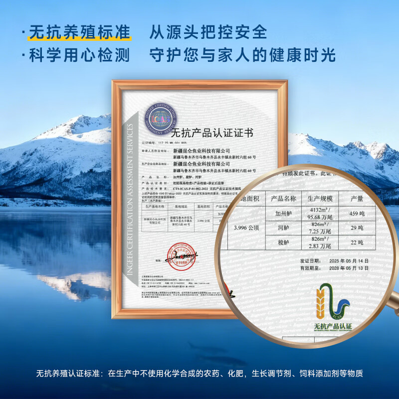 昆仑纪新疆天山无抗雪鲈鱼淡水鲈鱼整条装新疆鱼新鲜冷冻冷水鱼新年送礼 天山雪鲈鱼400g/条×4条（两去处理去鳞去内脏）