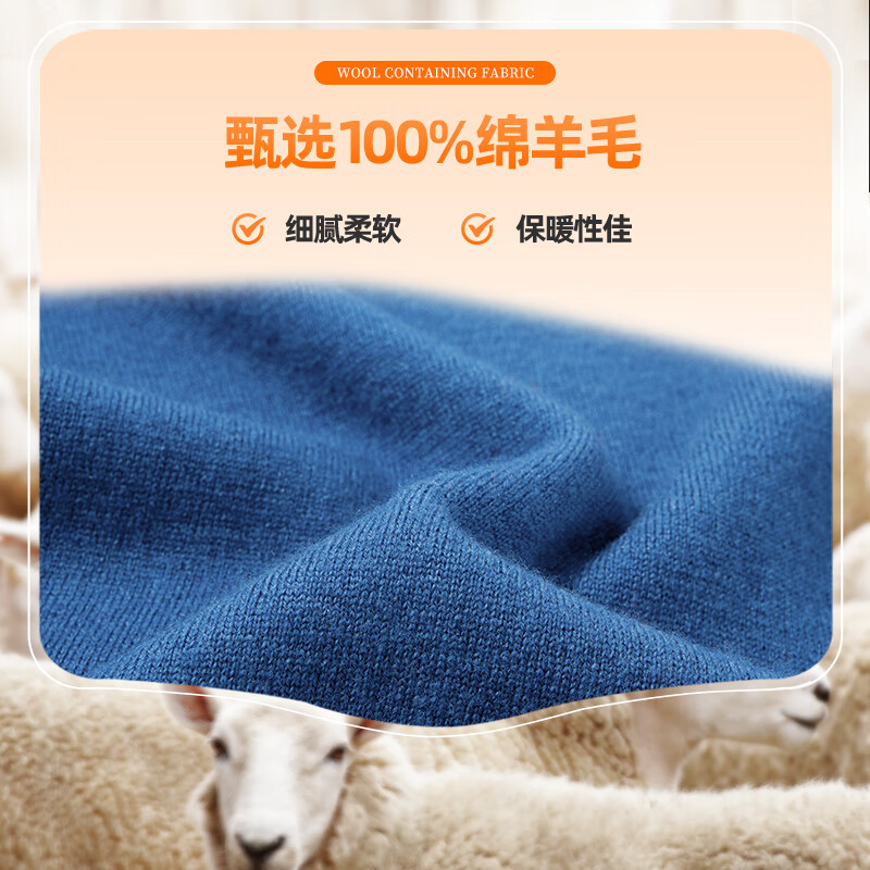 SHANSHAN杉杉【重磅430G】纯羊毛衫男2025冬季新款保暖内搭套头针织毛衣男 黑色 XL /180