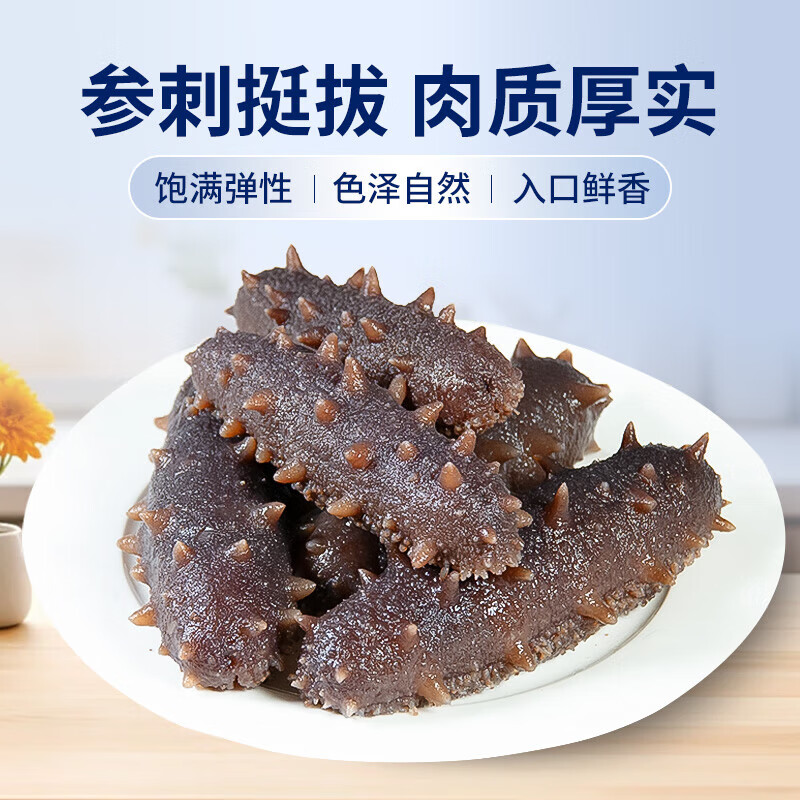 小兵海参即食海参 【侯勇推荐】鲜活辽刺参滋补优选营养生鲜食材礼盒 3斤（老客复购 囤货必入） 大头（7-9只/斤）
