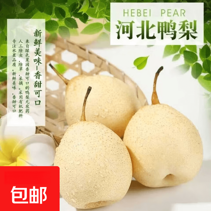 新鲜脆甜多汁鸭梨河北鸭梨香航 手工精选鸭梨带箱3斤