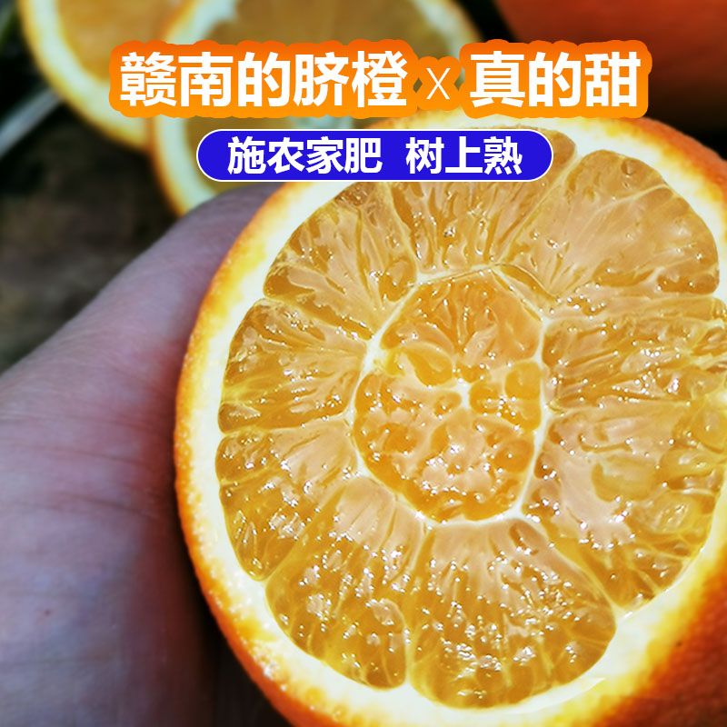 赣南脐橙江西正宗赣南脐橙新鲜水果现摘产地直发10斤整箱甜橙手剥榨汁孕妇 5斤装精品65-75mm中大果【试吃装】