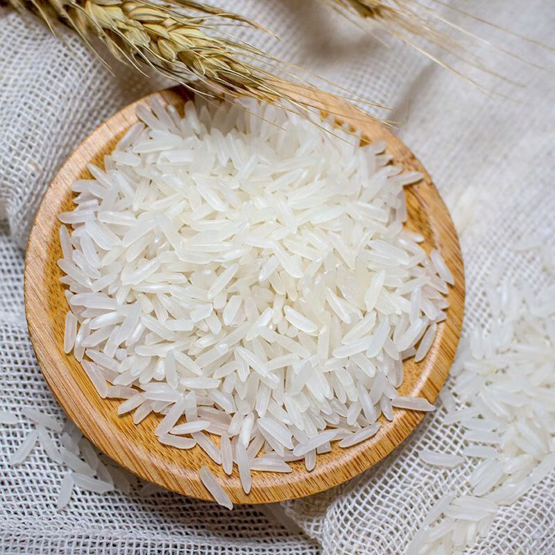 南方猫牙米20斤家庭装10斤长粒香大米一年一季2025年新米煲粥5斤 【晚稻米】鲜米猫牙米500g
