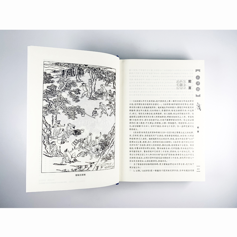 水浒传(精)/经典译林