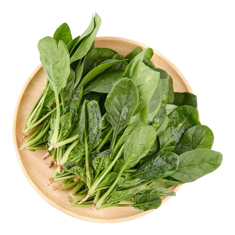 新鲜菠菜小菠菜当季火锅配菜高杆红根青菜真便宜京东包邮 1斤菠菜【含箱】