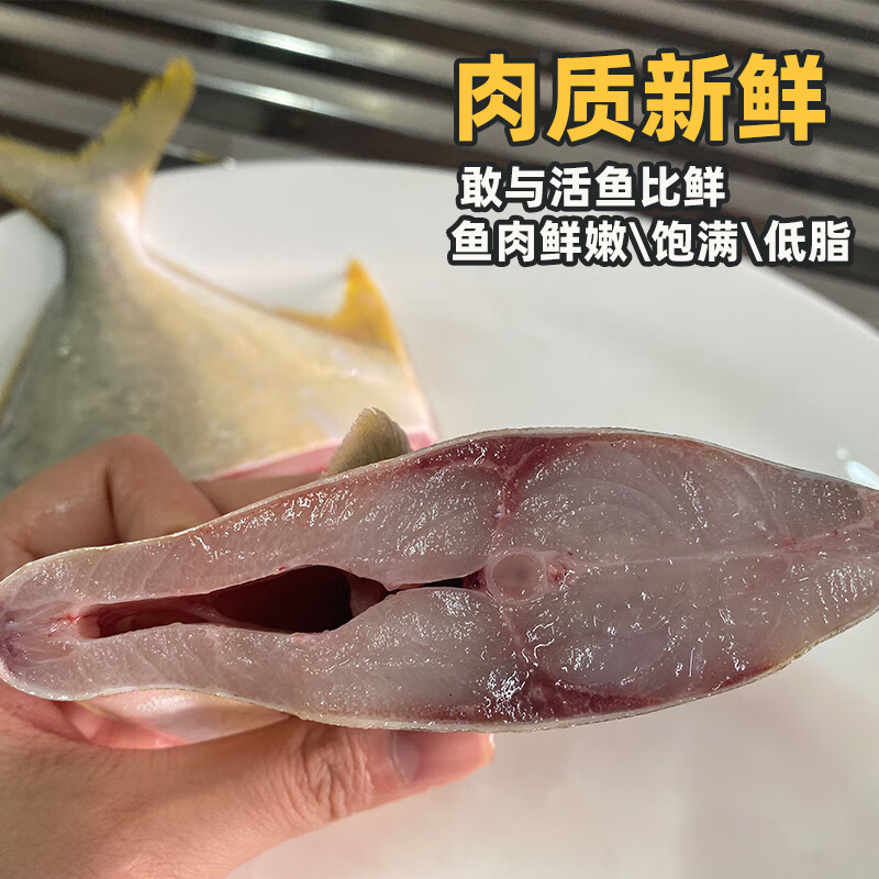桂之海 桂（GUIZHIHAI）北海金鲳鱼新鲜杀好深海鱼鲜活去鳃去内脏冷冻生鲜特大开腹金昌鱼 5条超大【520-600g/条】新鲜杀好