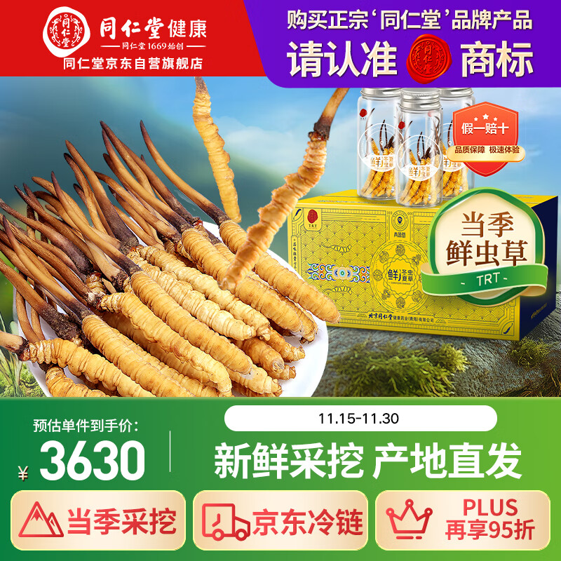 同仁堂品牌 新鲜冬虫夏草约1.01-1.3克/根 30根装青海源头直发包邮