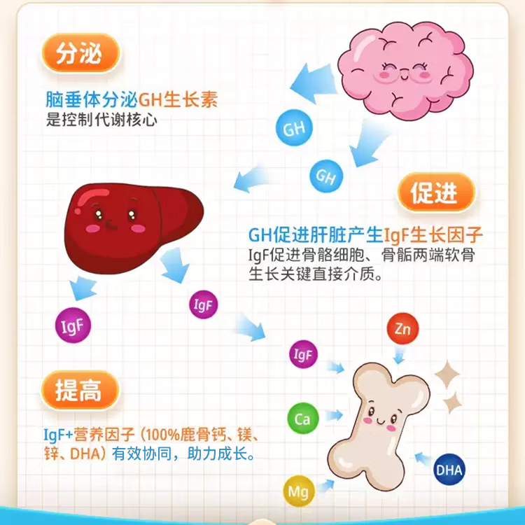 万宁（mannings）Growth咀嚼片纽西兰生长钙 香港万宁门店同款 儿童长高鹿骨钙 【门店同款】尝鲜装 60粒*1盒