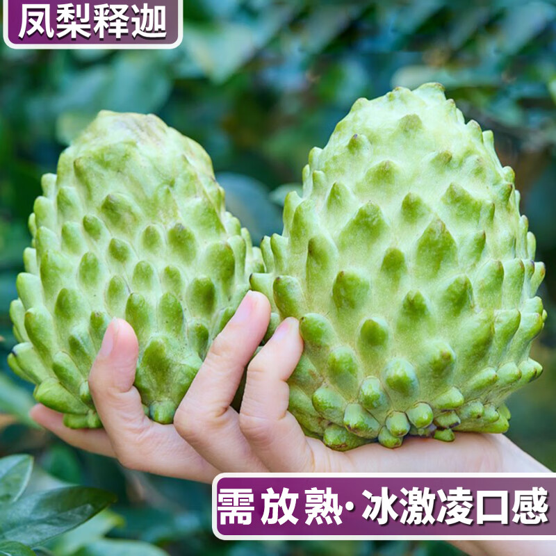 粤迎牛奶凤梨释迦果新鲜番荔枝广西大目佛头果林檎摩尼果水果好吃不贵 3斤精选果【香甜软糯】净2.5斤