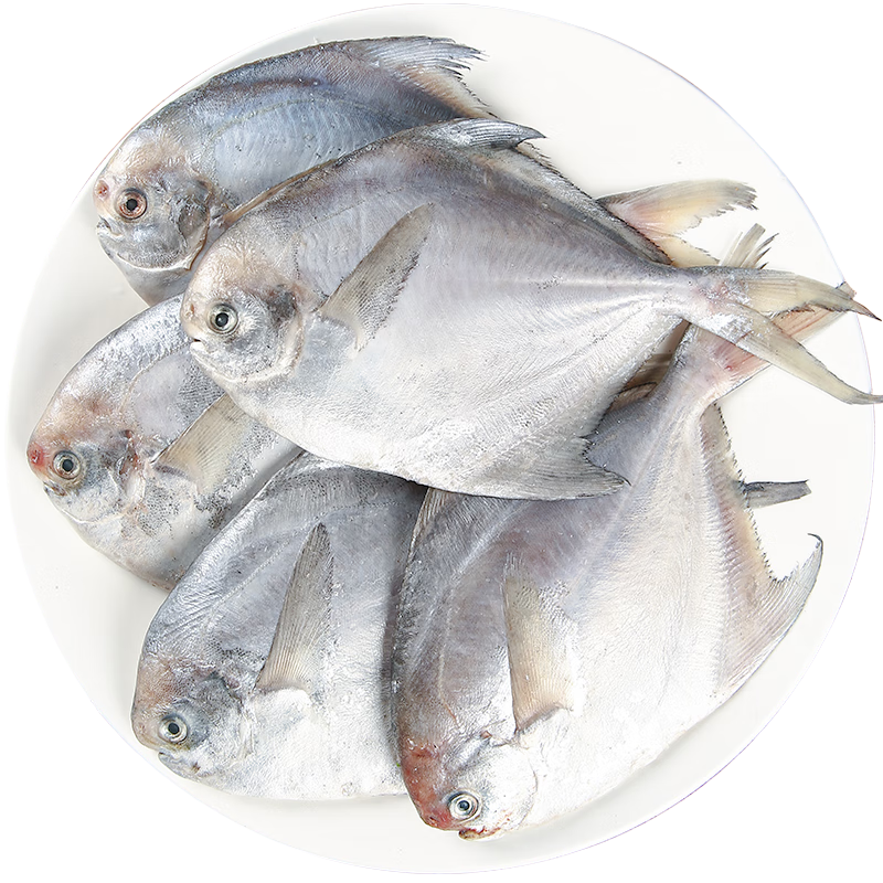 弹指鲜生舟山银鲳鱼 新鲜冷冻白鲳鱼 平鱼清蒸香煎烧烤食材 1500