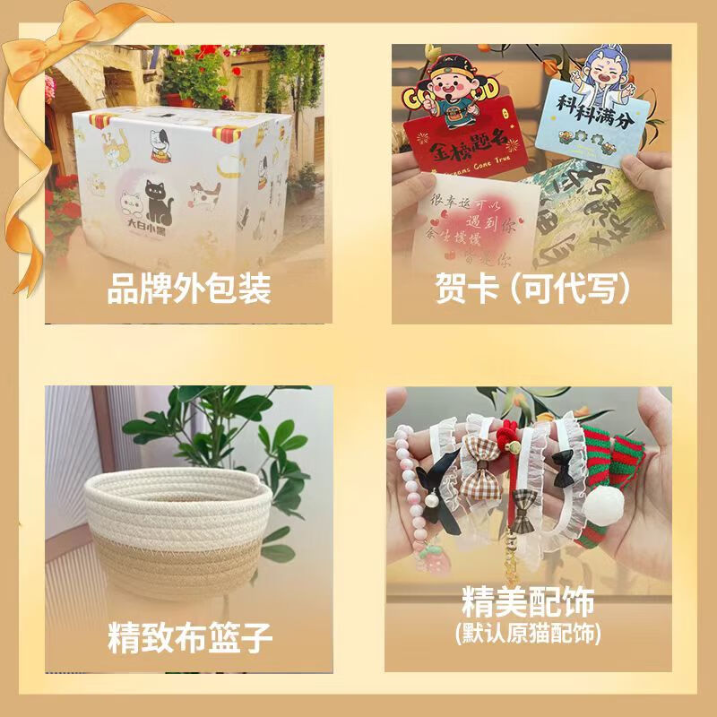 猫咪捏捏乐橘猫玩偶生日礼物女生小众高级感桌面解压摆件高端礼品