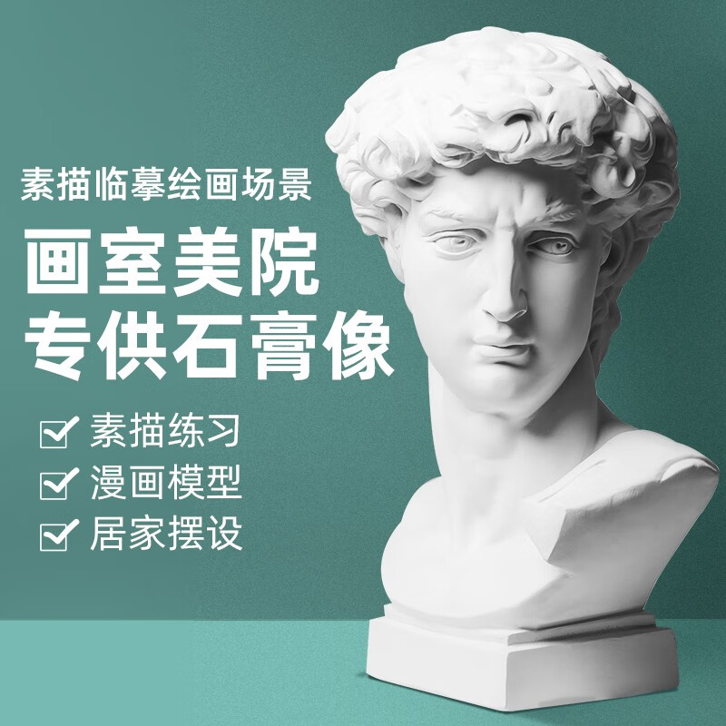 石膏像大卫 维纳斯人物头像海盗黑人阿格里巴小卫茶花女战神画室雕像