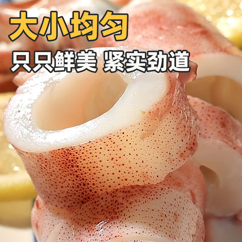 桂之海 桂(GUIZHIHAI)活冻北海鱿鱼新鲜冷冻海鲜白灼芥末烧烤火锅鲜活冰鲜大尤鱼 400g/3盒【16-20条/包,活冻鱿】共2.4斤