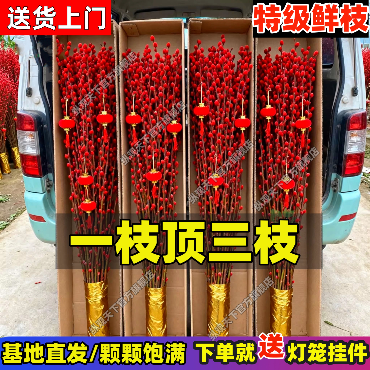 银柳鲜枝插花干花红柳枝过年客厅室内花卉年宵花真花水培植物花卉 【AAA级】60cm高【20枝+送灯笼】