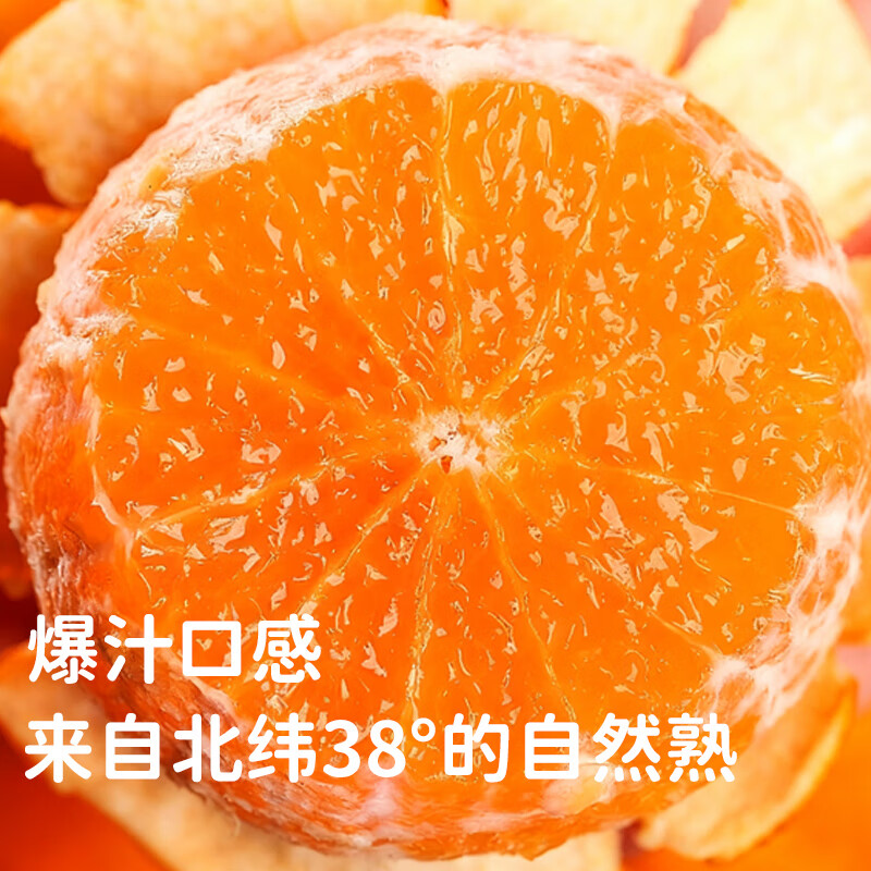 哥妞四川爱媛38号果冻橙手剥橙子新鲜当季孕妇水果桔子整箱大甄选礼盒 【整箱5斤净重】商超果80-85mm