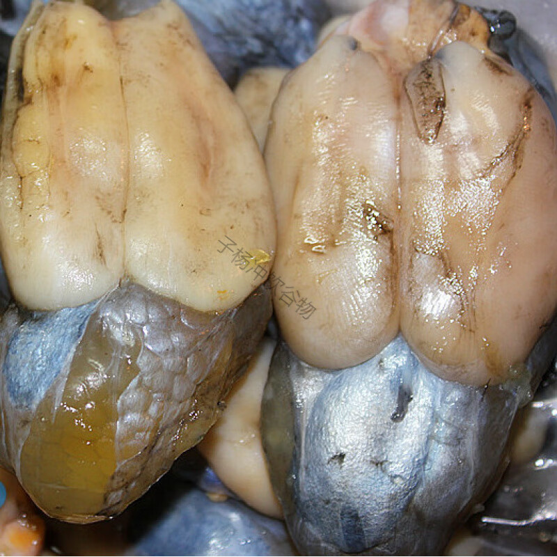 温州特产海鲜目鱼膏蛋 墨鱼蛋 乌贼蛋下饭菜 咸货