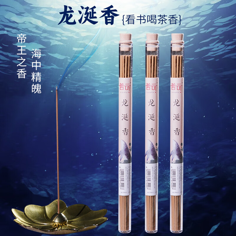 普云 鹅梨帐中香线香安寝睡眠香檀香熏香家用室内香沉香瑜伽品茗香薰 龙涎香-10克约24支-清幽甘甜 10g