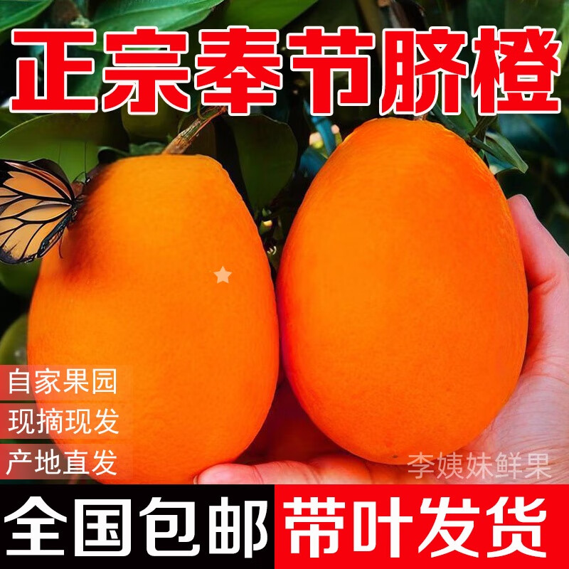 奉节脐橙重庆奉节脐橙10斤纽荷尔脐橙产地直发带叶新鲜水果孕妇儿童都能吃 带箱10斤果径60-70mm（不含70）净重9-9.2斤 新鲜带叶产地直发
