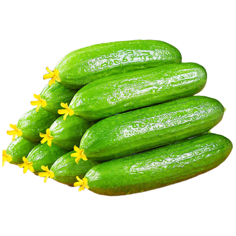 寿光水果黄瓜小黄瓜生吃脆嫩清甜凉拌蘸酱乳瓜农家自种现摘现发 水果黄瓜净重 4.5斤