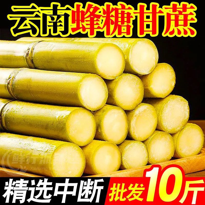 云南2025甘蔗黄金甘蔗薄皮中段黄皮黄金当季甘蔗新鲜现水果青皮 精选【中段】黄金甘蔗【带箱9-9.7斤】