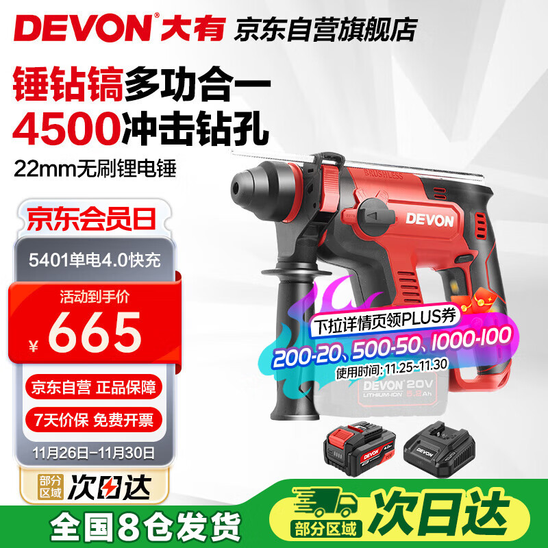 大有（Devon）20V工业级无刷充电锂电电锤5401打混凝土电镐开凿4.0Ah单电快充