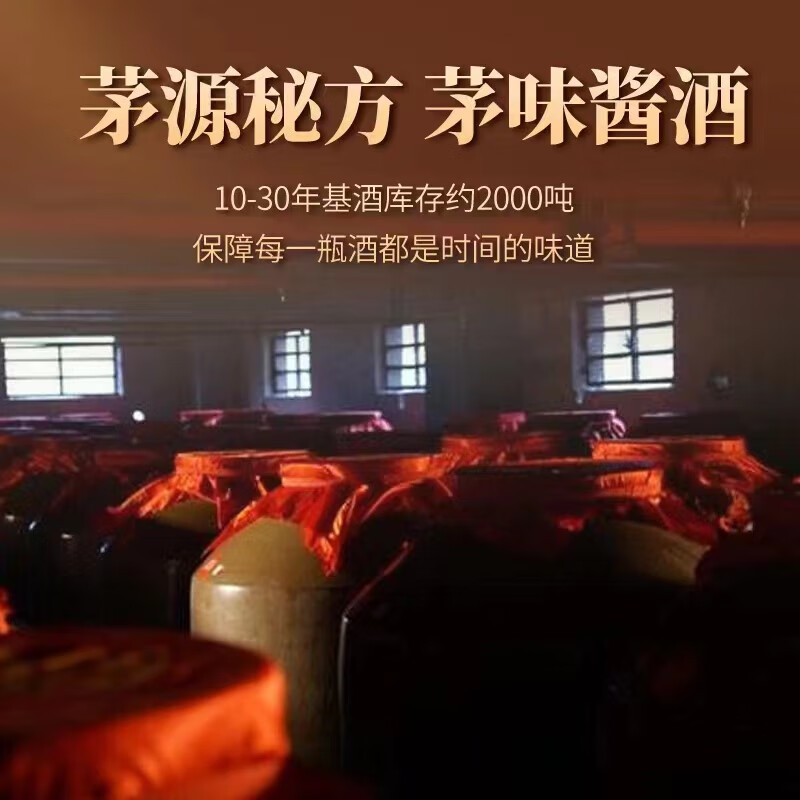 怀先老酒怀10贵州酱香型白酒53度手工纯粮大曲坤沙500ml【直播专属】 53%vol 500mL 2瓶 （赠精美礼袋）