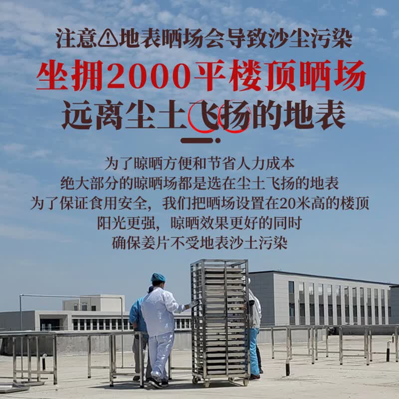 李时珍云南小黄姜粉九蒸九晒生姜粉正宗级姜黄粉纯熟粉0添加食品级正品 （纯粉）2罐 250g*2罐 【配料只有干姜】