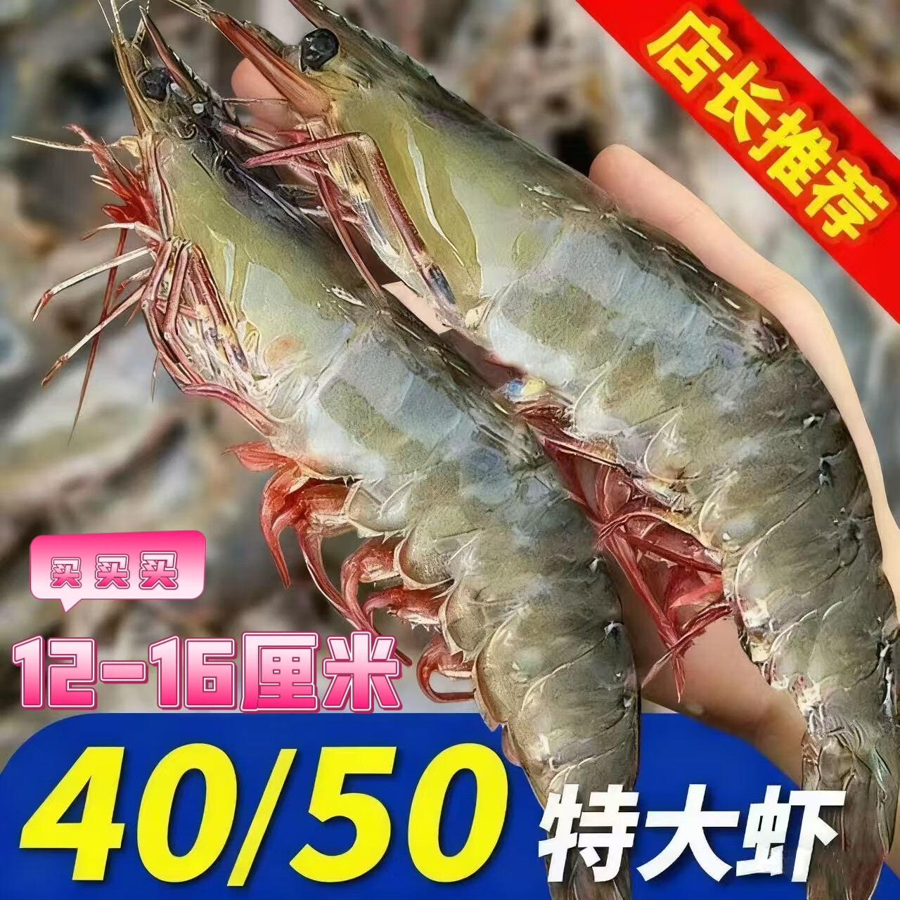 江七公新鲜海捕特大白虾 厄瓜多尔白虾 冷冻海鲜带冰保鲜三斤装 三斤装大号白虾【12-16厘米】