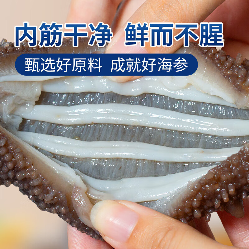 小兵海参即食海参 【侯勇推荐】鲜活辽刺参滋补优选营养生鲜食材礼盒 3斤（老客复购 囤货必入） 大头（7-9只/斤）
