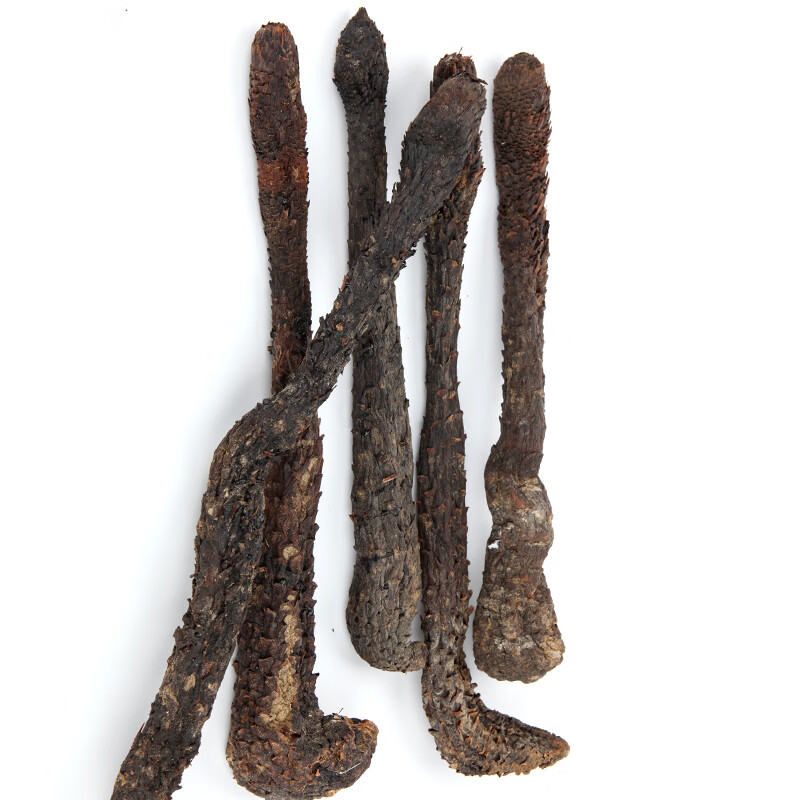 新疆特产 荒漠肉苁蓉整根 （100g-120g）*1根