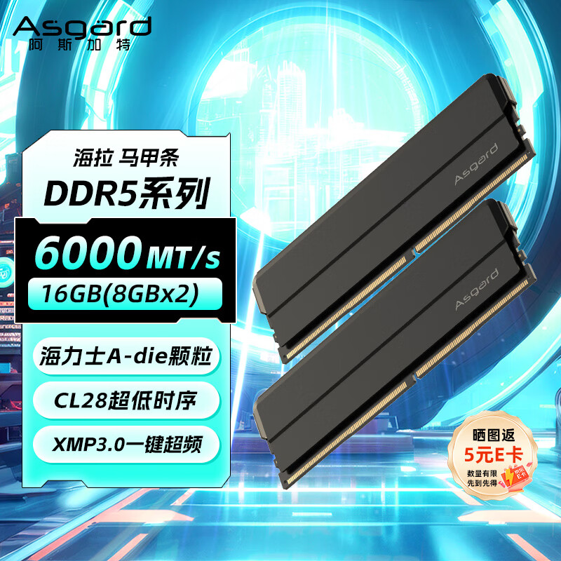��˹���أ�Asgard��16GB(8GBx2) DDR5 6000 ̨ʽ���ڴ��� ���� ������ ����ʿA-die CL28 ��ҹ��