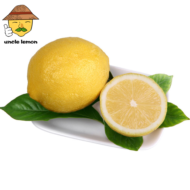 uncle lemon四川特产黄柠檬新鲜水果安岳小柠檬皮薄多汁一颗奶茶店榨汁产地 3斤小果(单果重量60g左右)