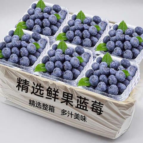 榴小橔云南蓝莓超大果新鲜高山蓝莓水果送礼年货节 精选特大果 精选125g*4盒（15-18mm)