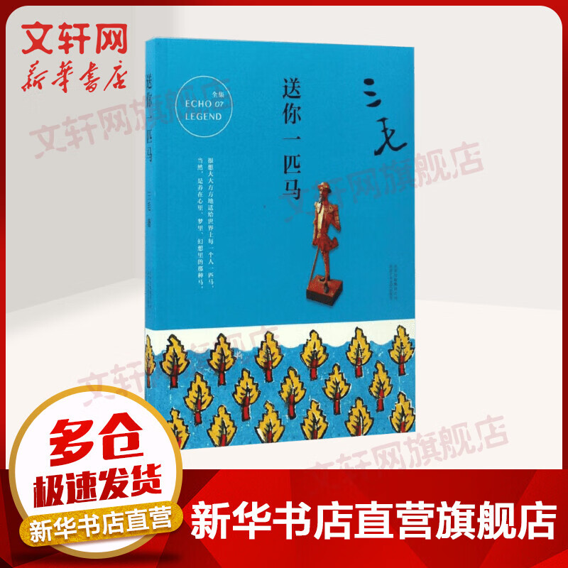 送你一匹马 三毛全集07