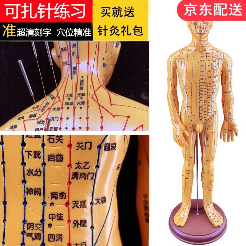 高博士（GAOBOSHI）人體中醫(yī)經(jīng)絡穴位模型針灸銅人女模男模 白色高清男模型52cm 大 高清男模型52cm 大字可扎針
