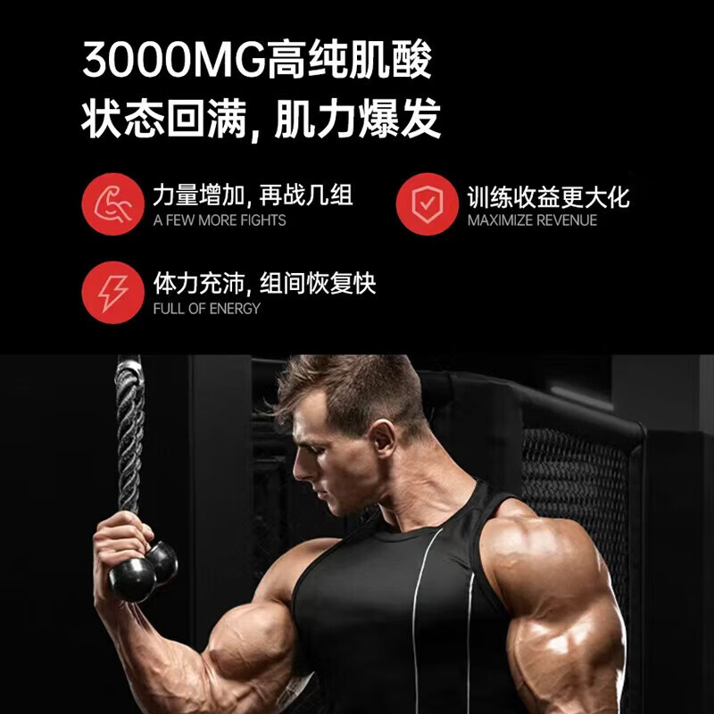 六星（SIXSTAR）锌镁肌酸粉99.99%高纯度一水肌酸健身耐力爆发力运动营养能量冲剂 【99.9%高纯度】一水肌酸 330g*1罐