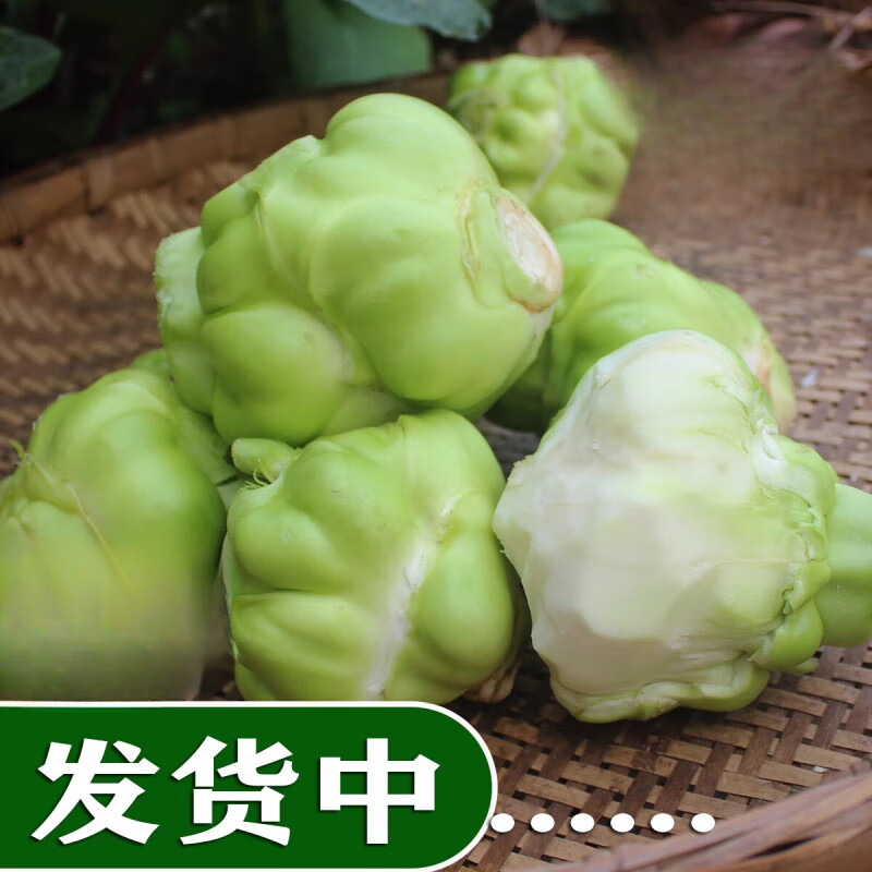 颜曼箐四川榨菜榨菜头疙瘩农家新鲜青菜头菱角菜羊角菜 2500g