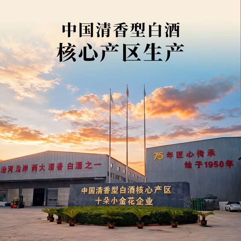 杏池特级六星清香型53度白酒纯粮酿造整箱聚会送礼商务 53度 475mL 6瓶 囤货 纯粮酒