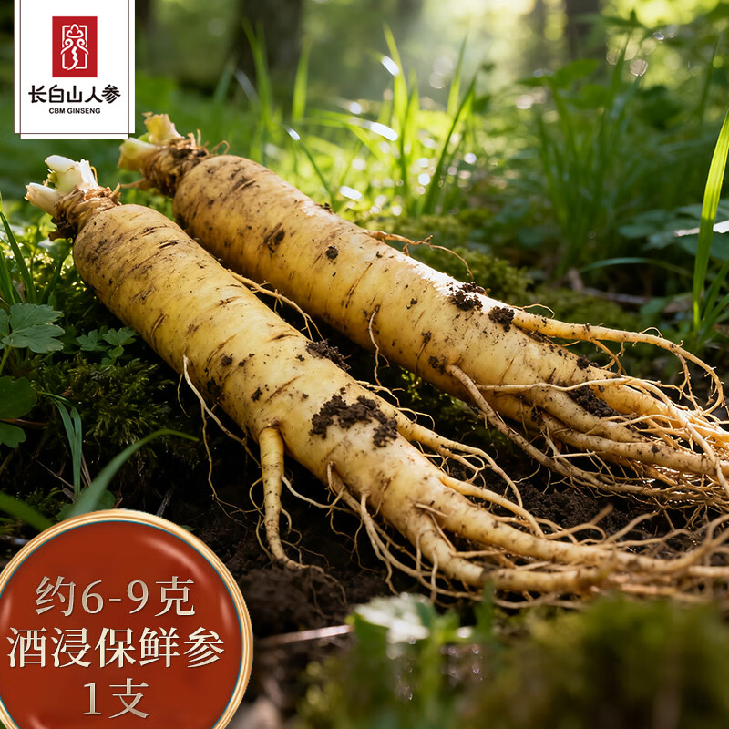 长白山人参【官方】鲜人参健康煲汤泡酒酒浸保鲜参独立包装皂苷丰富产地直发 鲜人参6-9g1支（酒浸保鲜）