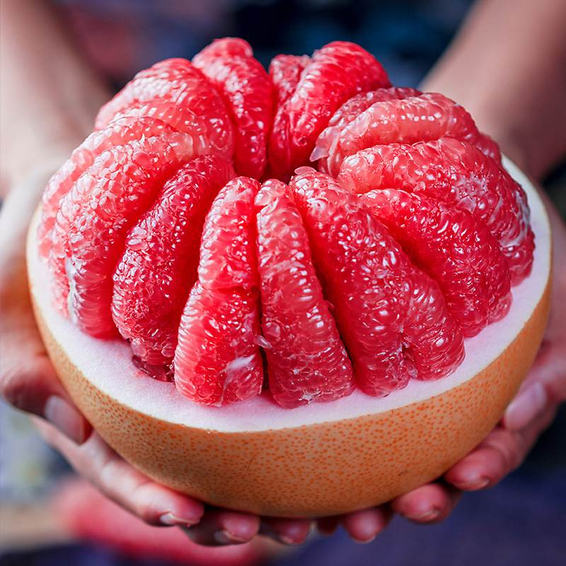 柚子价格历史查询|柚子价格历史