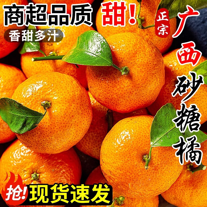 蒲恋正宗广西砂糖橘现摘金秋沙糖桔子橘甜蜜多汁新鲜时令水果整箱年货 大果5斤【单果45mm+】净4.5斤