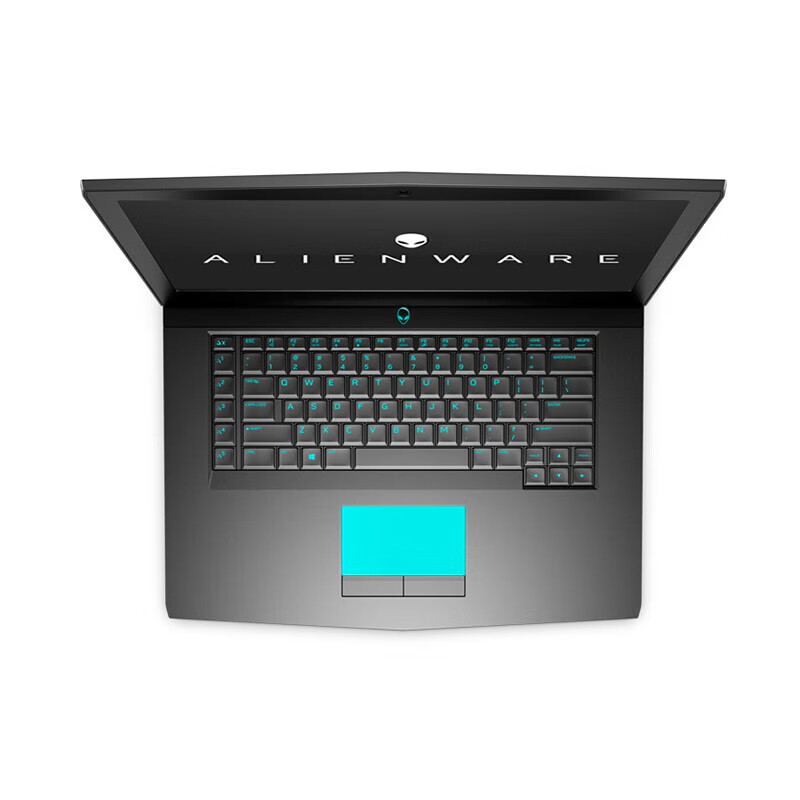 外星人（Alienware）笔记本电脑电竞吃鸡黑神话悟空游戏本17寸独显8G  外星人M17 i7 9750六核 32G内存19