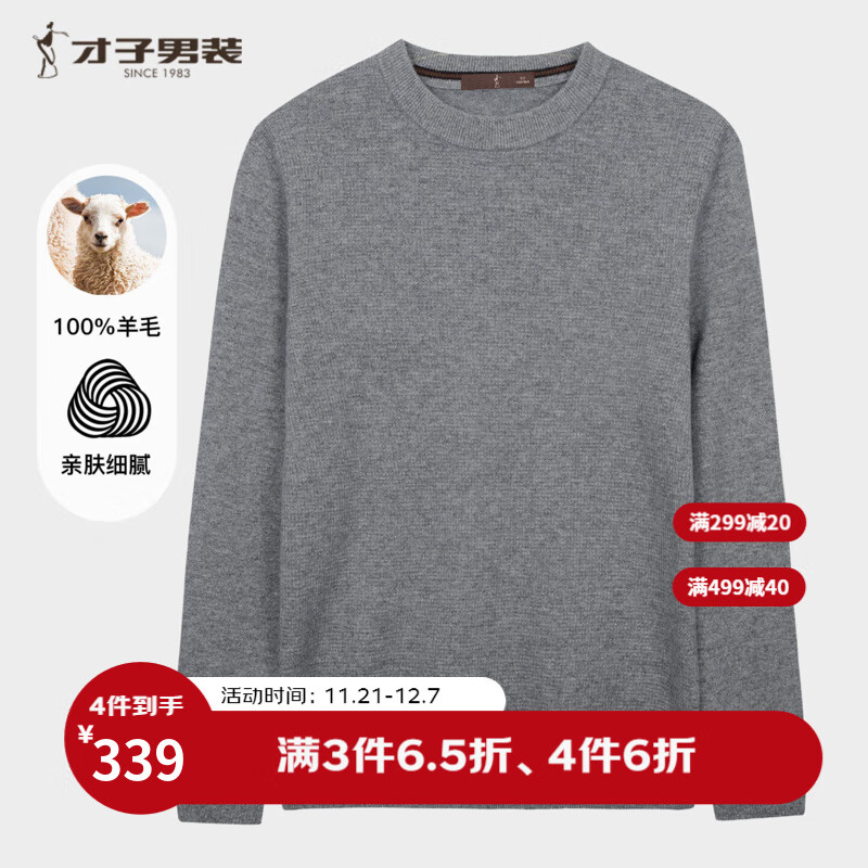 才子(TRIES)男士羊毛衫100%纯羊毛圆领毛衣男款商务休闲纯色保暖针织打底衫 灰色 L 48 (170/88A)