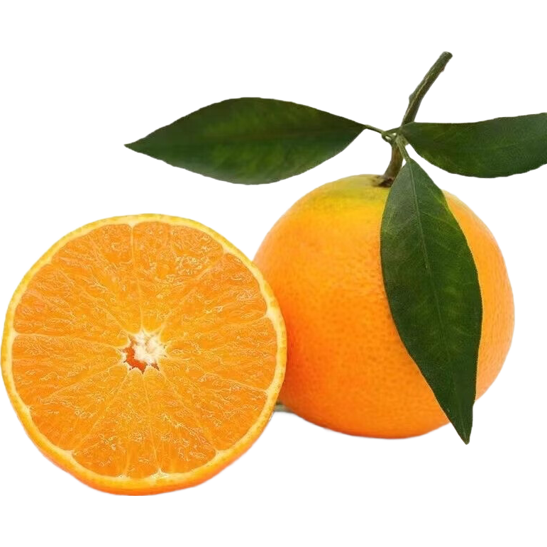 �¹���֭����38�Ź����� �������ʲ�ժ ��Ƥ���� �����֭ ����2�� 4.9Ԫ������ȯ��