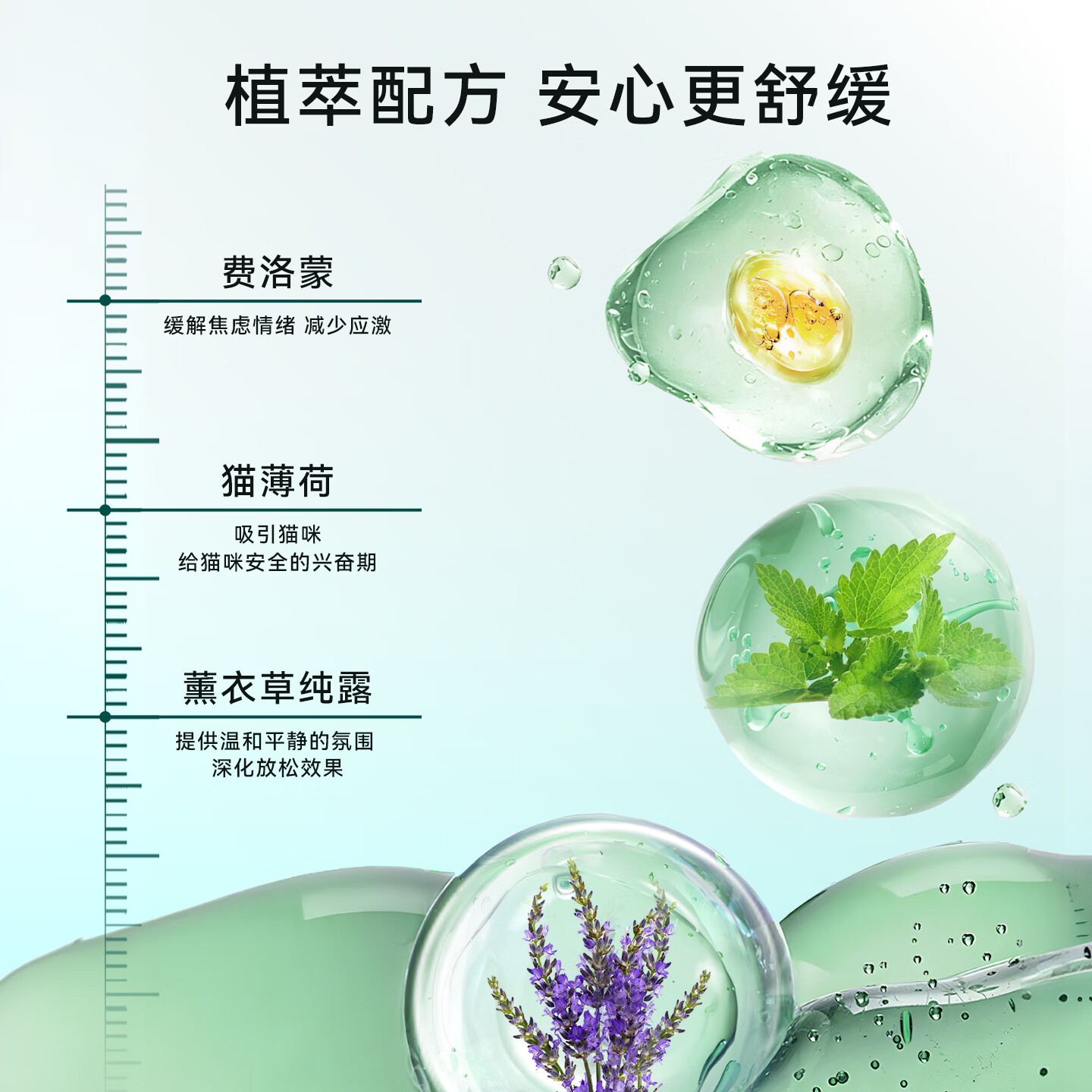 杨医生费洛蒙公母猫咪发情外出防应激情绪舒缓剂安抚喷雾缓解厌食恐惧 防应激专用 50ml;一瓶